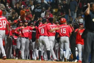 Escogido-2-360x241-1