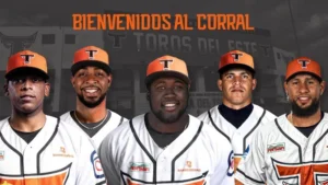 Toros (1)