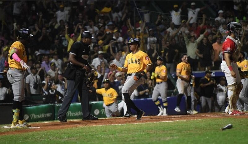 Las Águilas Cibaeñas elegirán directivos el 11 de junio